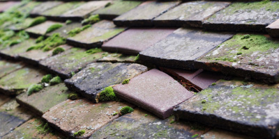 Marian Glas roof repair costs